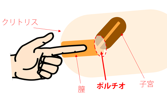 ペニスでポルチオ性感を刺激