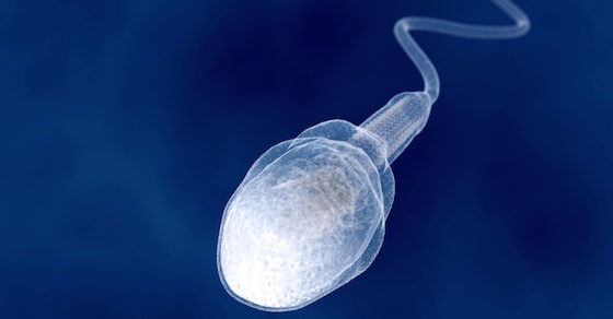 意外と知らない精子に関する真実 8選(精子が劣化するなど)