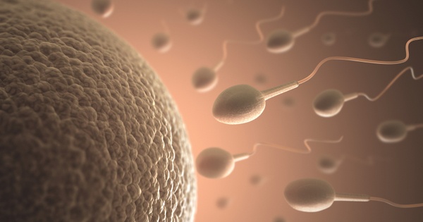 精子の運動率を驚異的に上げる食事・食べ物まとめ4選