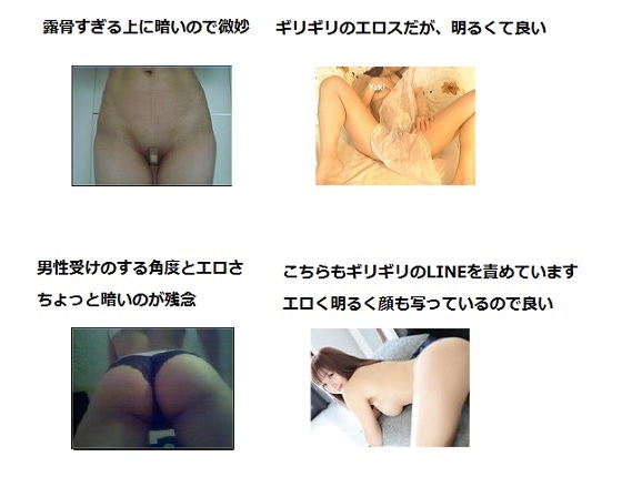 DXLIVE 写真の良い例悪い例
